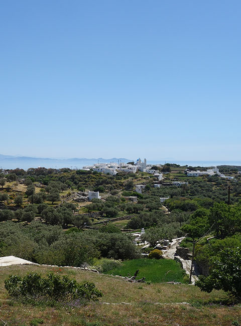 The village of Kato Petali in Sifnos