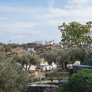 General aspect of the garden and the house