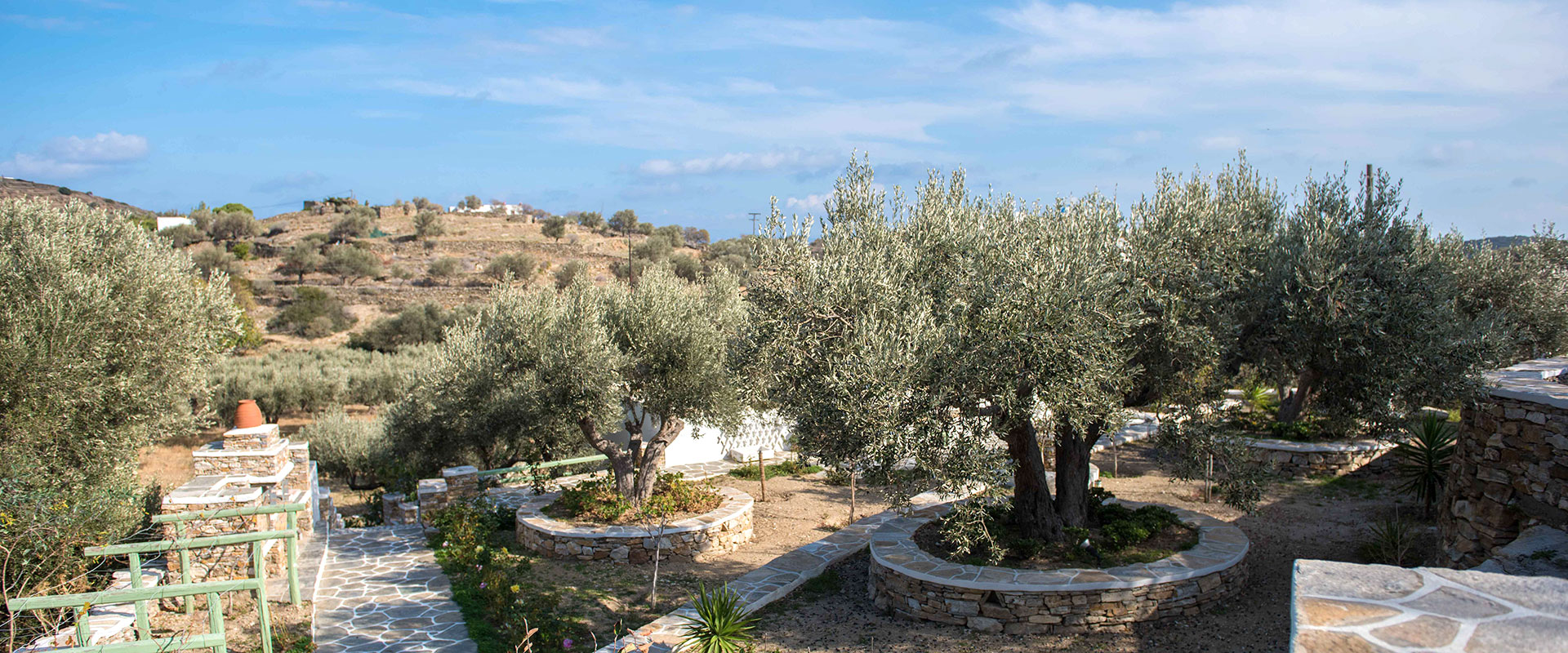 The garden of Rose home in Sifnos